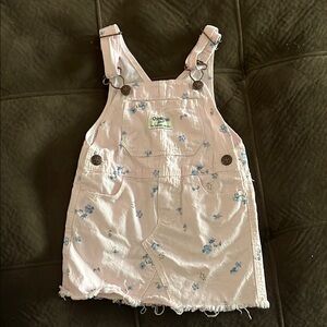 OshKosh B'gosh Pink and Blue Overalls